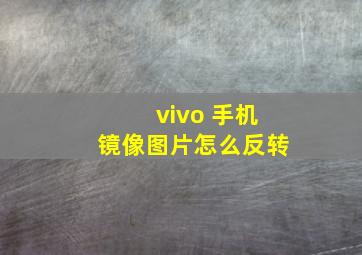 vivo 手机镜像图片怎么反转